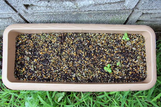 f:id:takahikonojima:20150906180626j:plain f:id:takahikonojima:20150906180626j:plain