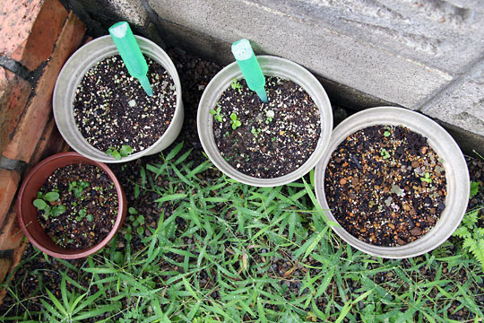 f:id:takahikonojima:20150906180638j:plain