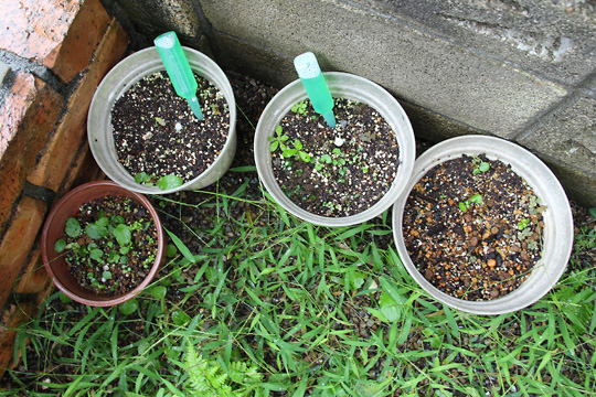 f:id:takahikonojima:20150913102312j:plain