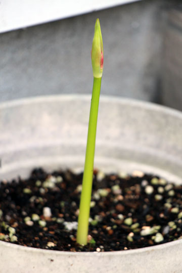 f:id:takahikonojima:20150913102459j:plain