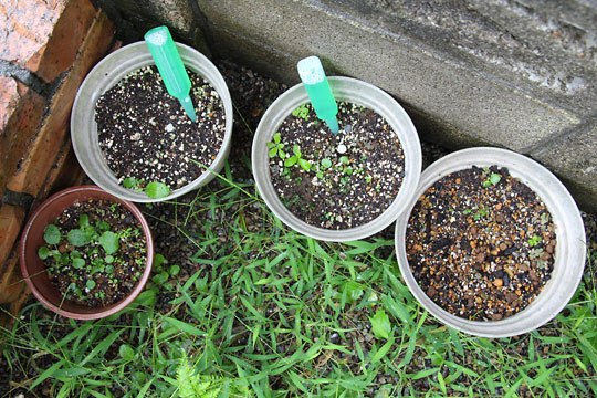 f:id:takahikonojima:20150913102519j:plain