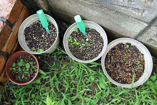 f:id:takahikonojima:20150913102552j:plain