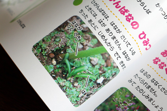 f:id:takahikonojima:20150915080804j:plain f:id:takahikonojima:20150915080804j:plain