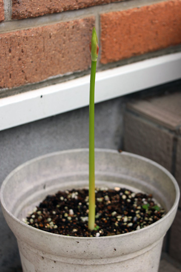 f:id:takahikonojima:20150919160759j:plain