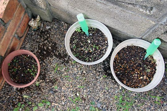 f:id:takahikonojima:20150919160813j:plain