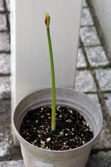 f:id:takahikonojima:20150919160835j:plain