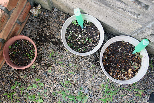 f:id:takahikonojima:20150919160844j:plain