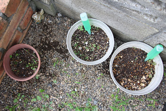 f:id:takahikonojima:20150919160914j:plain