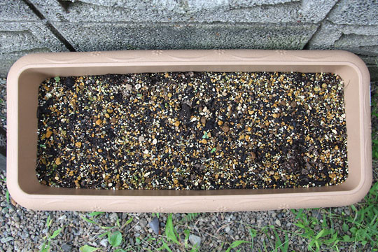 f:id:takahikonojima:20150919160922j:plain