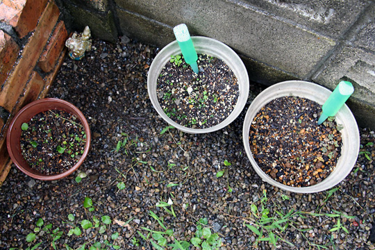 f:id:takahikonojima:20150919160941j:plain