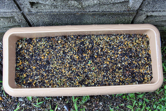 f:id:takahikonojima:20150919160949j:plain