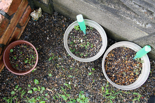 f:id:takahikonojima:20150919161005j:plain