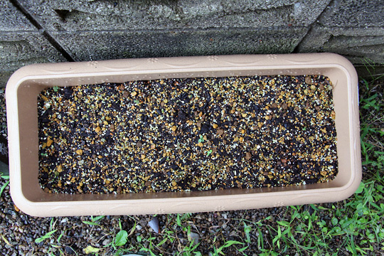 f:id:takahikonojima:20150919161019j:plain