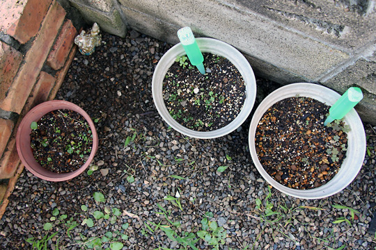 f:id:takahikonojima:20150919161035j:plain