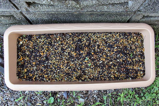 f:id:takahikonojima:20150919161041j:plain