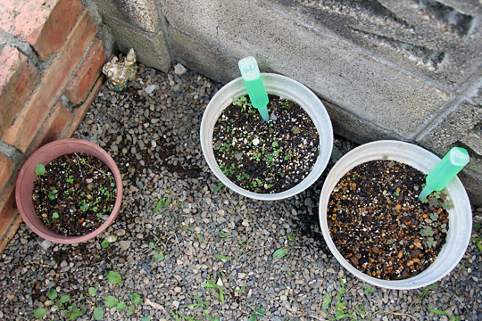 f:id:takahikonojima:20150926120143j:plain f:id:takahikonojima:20150926120143j:plain