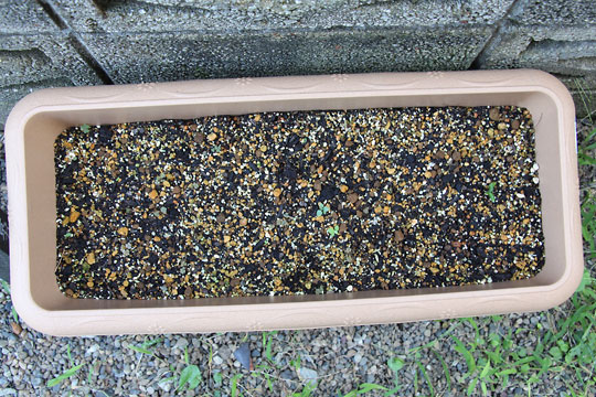 f:id:takahikonojima:20150926120148j:plain f:id:takahikonojima:20150926120148j:plain