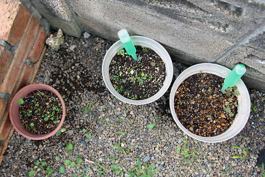 f:id:takahikonojima:20150926120220j:plain f:id:takahikonojima:20150926120220j:plain