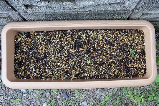 f:id:takahikonojima:20150926120225j:plain f:id:takahikonojima:20150926120225j:plain