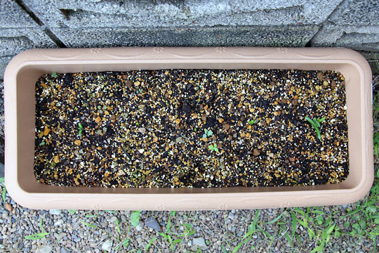 f:id:takahikonojima:20150926120246j:plain f:id:takahikonojima:20150926120246j:plain