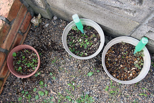 f:id:takahikonojima:20150926120321j:plain f:id:takahikonojima:20150926120321j:plain