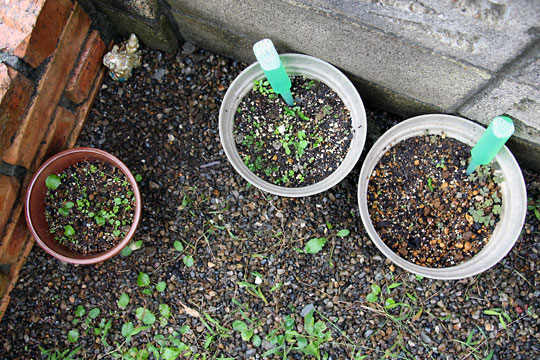 f:id:takahikonojima:20150926120340j:plain f:id:takahikonojima:20150926120340j:plain