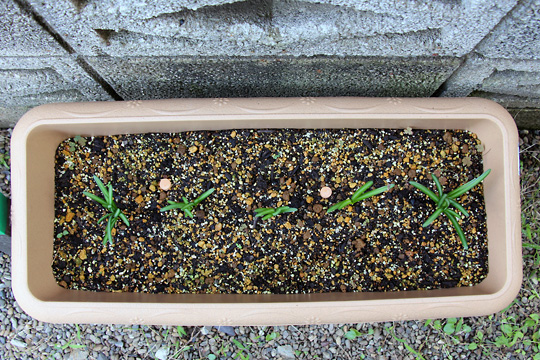 f:id:takahikonojima:20151003114849j:plain f:id:takahikonojima:20151003114849j:plain