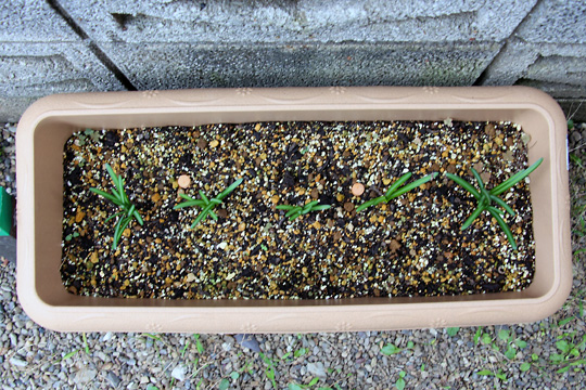 f:id:takahikonojima:20151003114859j:plain f:id:takahikonojima:20151003114859j:plain