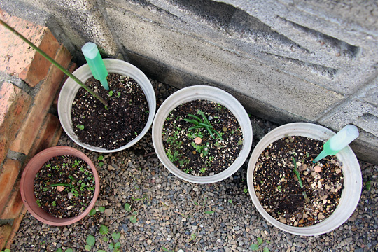 f:id:takahikonojima:20151003114921j:plain f:id:takahikonojima:20151003114921j:plain