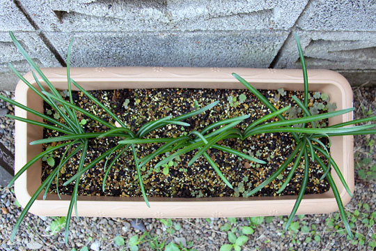 f:id:takahikonojima:20151024110724j:plain