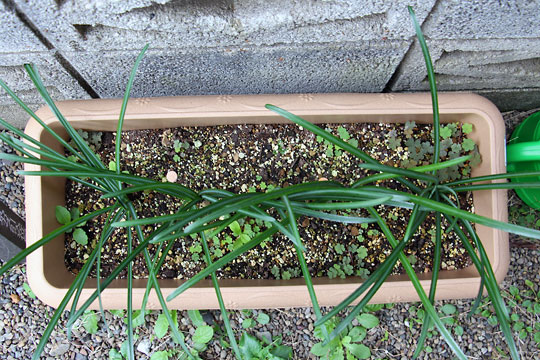 f:id:takahikonojima:20151031145958j:plain