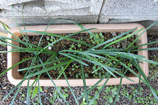 f:id:takahikonojima:20151122104337j:plain