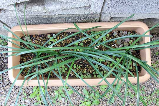 f:id:takahikonojima:20151122104448j:plain