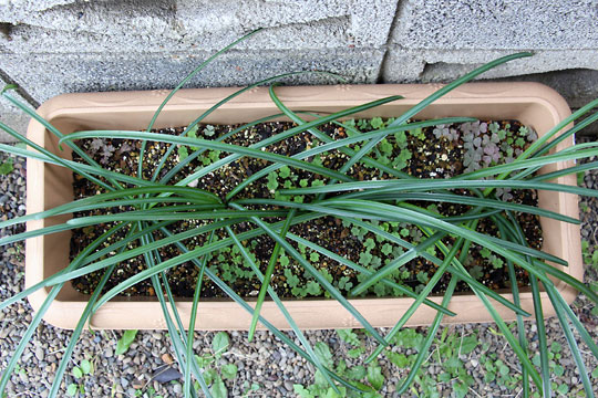 f:id:takahikonojima:20151212194213j:plain