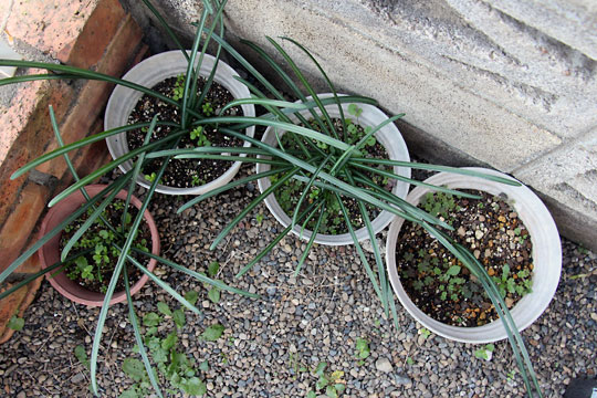 f:id:takahikonojima:20151212194224j:plain