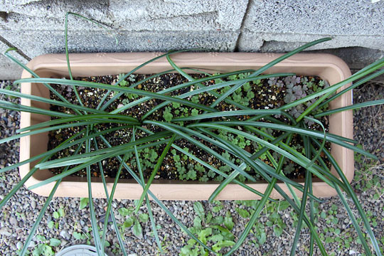 f:id:takahikonojima:20151212194237j:plain