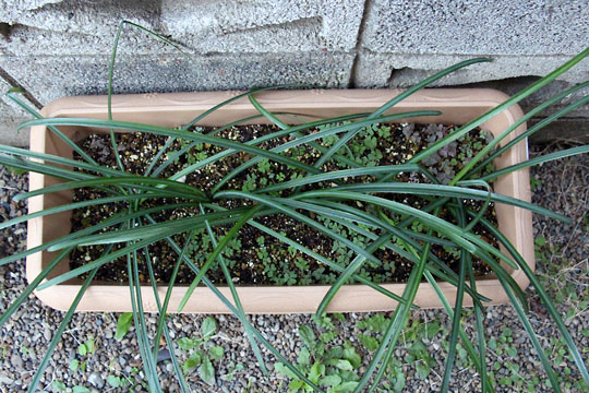 f:id:takahikonojima:20151212194259j:plain