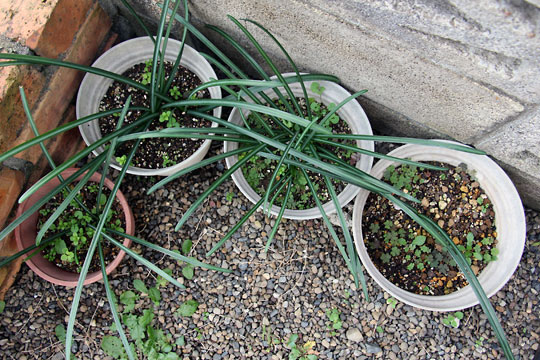 f:id:takahikonojima:20151212194307j:plain