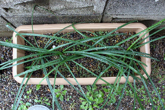 f:id:takahikonojima:20151212194323j:plain