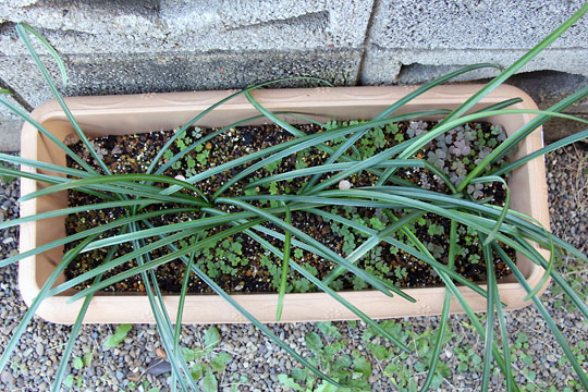 f:id:takahikonojima:20151212194340j:plain