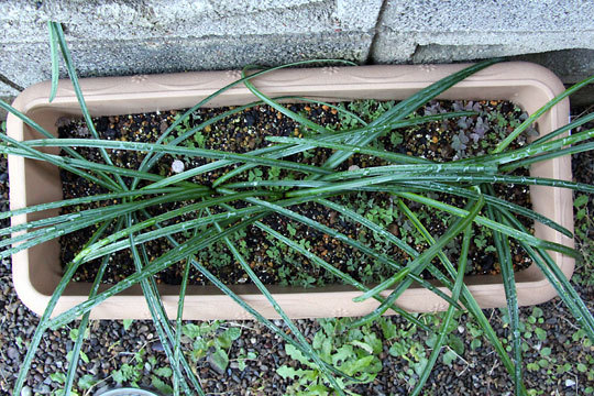 f:id:takahikonojima:20151227083344j:plain