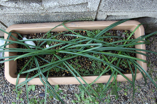 f:id:takahikonojima:20160123112546j:plain