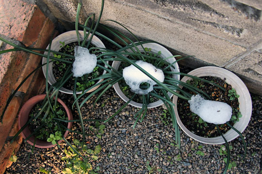 f:id:takahikonojima:20160123112559j:plain