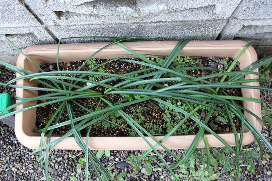 f:id:takahikonojima:20160206102257j:plain