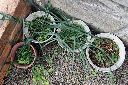 f:id:takahikonojima:20160206102303j:plain