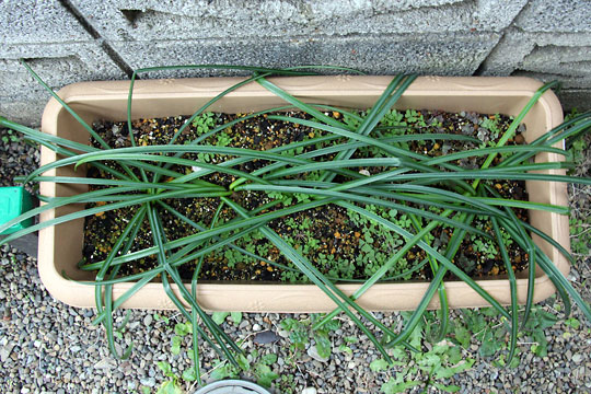 f:id:takahikonojima:20160206102315j:plain