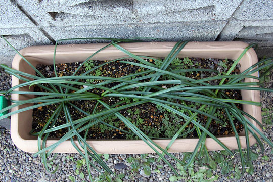 f:id:takahikonojima:20160206102326j:plain