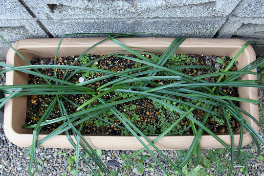 f:id:takahikonojima:20160206102352j:plain