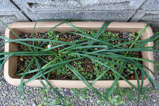 f:id:takahikonojima:20160206102414j:plain