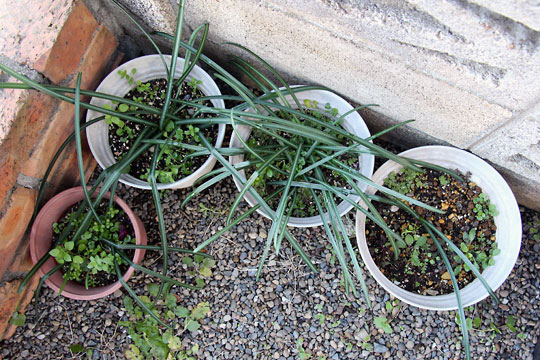 f:id:takahikonojima:20160214102205j:plain